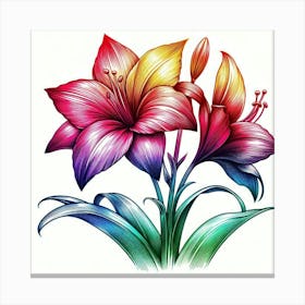 Flower Drawing Canvas Print