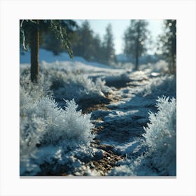 Frosty Forest Canvas Print