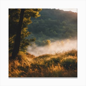 Misty Morning 1 Canvas Print