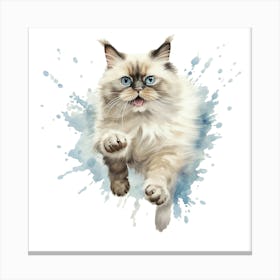 Chubby Cat Canvas Print