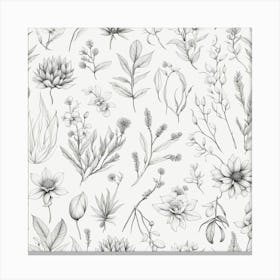 Botanicals 2 Canvas Print