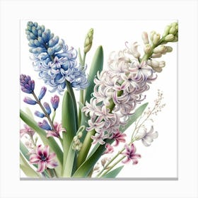 Hyacinths 3 Canvas Print