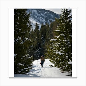 Woman Walks Through The Snow Canvas Print