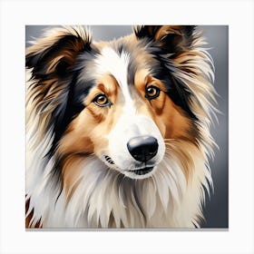 Collie Canvas Print