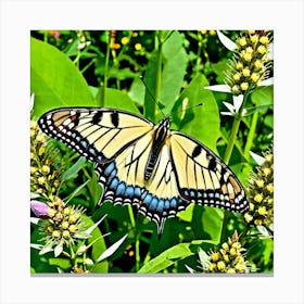 Butterflies Insect Lepidoptera Wings Antenna Colorful Flutter Nectar Pollen Metamorphosis (8) Canvas Print