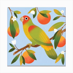 Tangerine Parrot In Blue Square Canvas Print