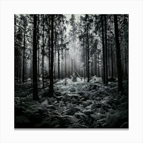 Firefly Noir Forest A Monochromatic Look With High Contrast And Deep Shadows Leinwandbild