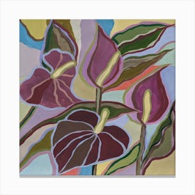 Anthurium flower Canvas Print
