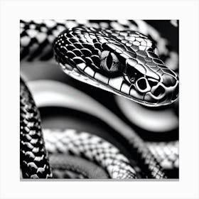 Snake In Black And White Canvas Print