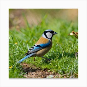 Tawny Tit 9 Canvas Print