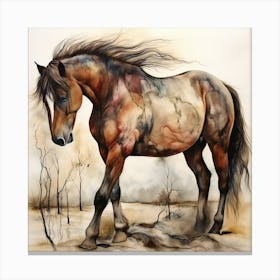 Wild Horse Canvas Print