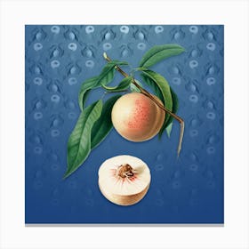 Vintage Peach Botanical on Bahama Blue Pattern n.2049 Canvas Print