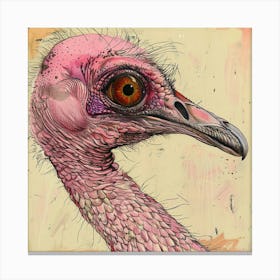 Ostrich Canvas Print