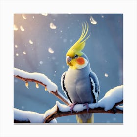Cockatiel In The Snow Canvas Print