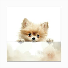 Pomeranian Puppy On A Sign Canvas Print