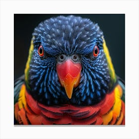 Lorikeet 1 Canvas Print