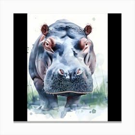 Hippo Canvas Print