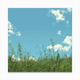 Grassy Field With Clouds Canvas Print