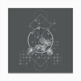Vintage Shore Cyclamen Flower Botanical with Line Motif and Dot Pattern in Ghost Gray n.0212 Canvas Print