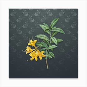 Vintage Yellow Azalea Botanical on Slate Gray Pattern n.1332 Canvas Print