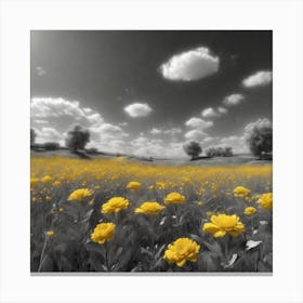 Black And White Flower Field Canvas Print