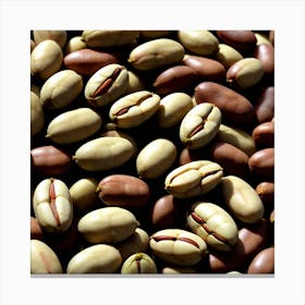 Coffee Beans 259 Canvas Print