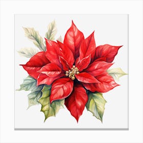 Poinsettia 33 Canvas Print