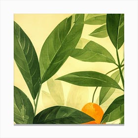 Oranges And Leaves 1 Canvas Print