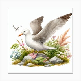 Albatross 3 Canvas Print