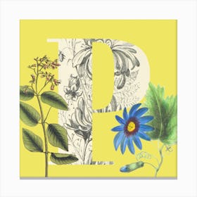 Botanical P Canvas Print