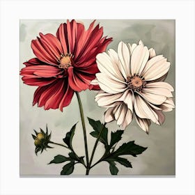 Two Cosmos Canvas Print