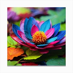 Lotus Flower Canvas Print