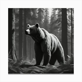 Black Bear In The Forest 2 Canvas Print