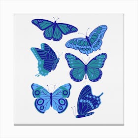 Texas Butterflies   Blue And Teal Square Canvas Print
