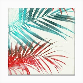 Tropical Palm Leaves Canvas Print