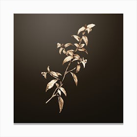 Gold Botanical Birdbill Dayflower on Chocolate Brown n.0460 Canvas Print
