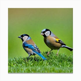 Two Birds On Grass Canvas Print