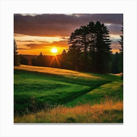 Sunset In A Field 1 Canvas Print