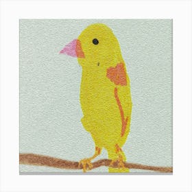 Yellow Finch 1 Canvas Print