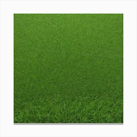 Green Grass 55 Canvas Print