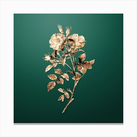 Gold Botanical Queen Elizabeth's Sweetbriar Rose on Dark Spring Green n.1005 Canvas Print