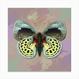 Mechanical Butterfly The Asterope Leprieuri Philotina On A Pink Background Canvas Print