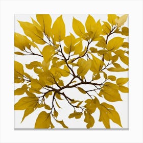 Yellow Leaves On A Branch 1 Canvas Print