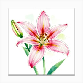 Pink Lily 12 Canvas Print