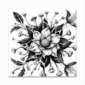 Black And White Flower Canvas Print