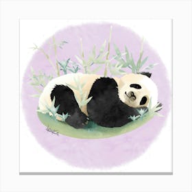 Panda Canvas Print