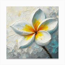 Frangipani 3 Canvas Print