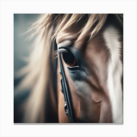 Portrait Of A Horse Canvas Print