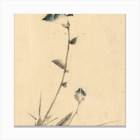 Chinese Flower Painting Canvas Print