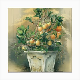 Asian Orange Tree Canvas Print